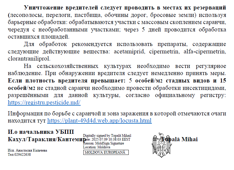 саранча
