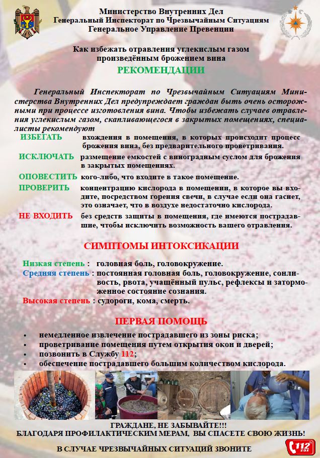 Брожение вина