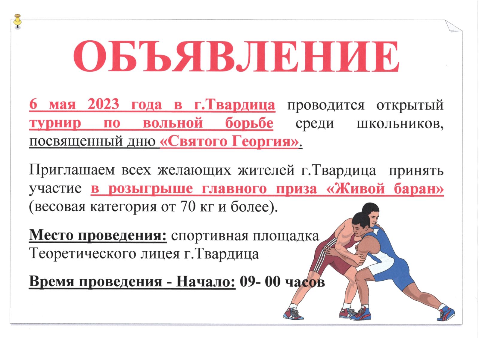 Турнир по вольной борьбе.