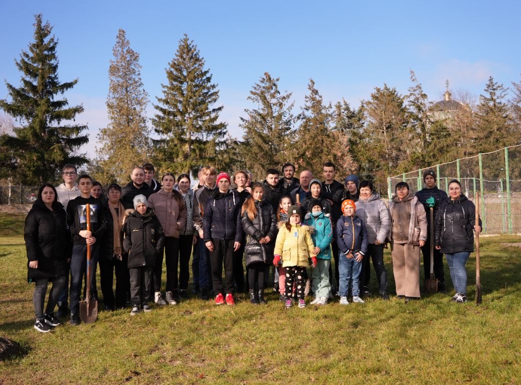 Посадка берёз.