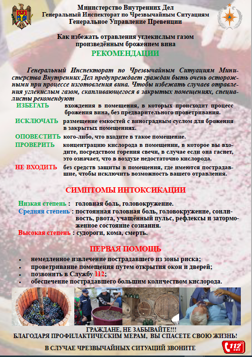 Брожение вина