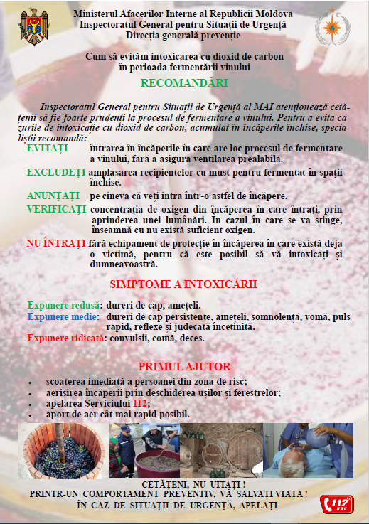 Брожение вина