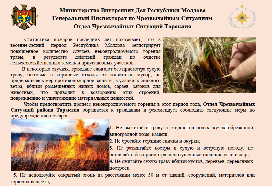 МЧС