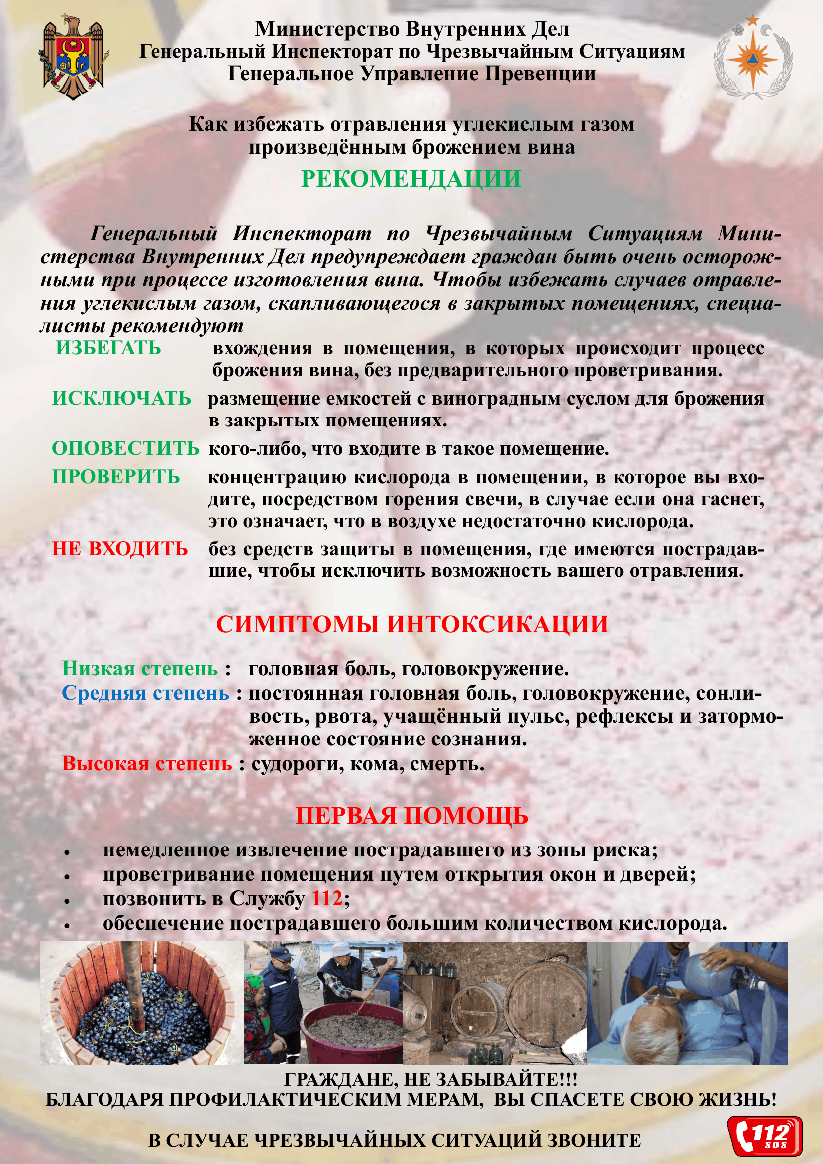 брожение вина