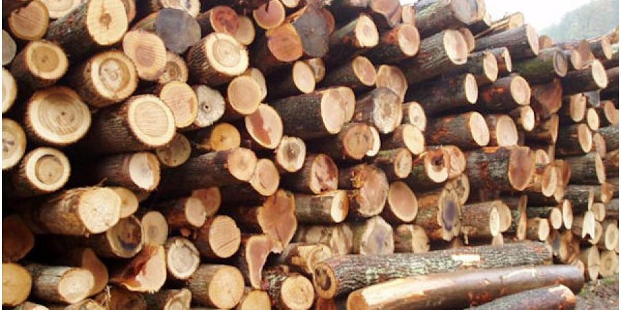 объявление