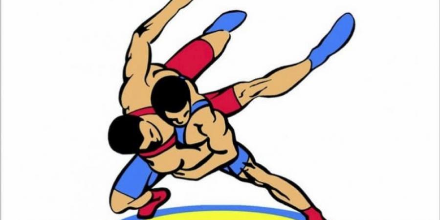 Турнир по вольной борьбе.