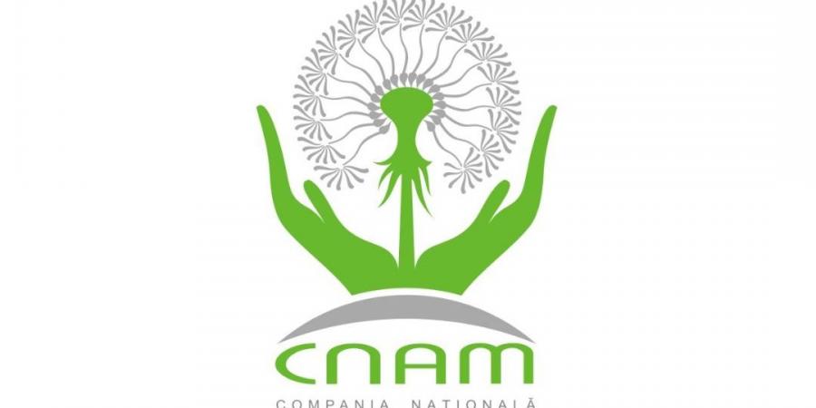 Страхование