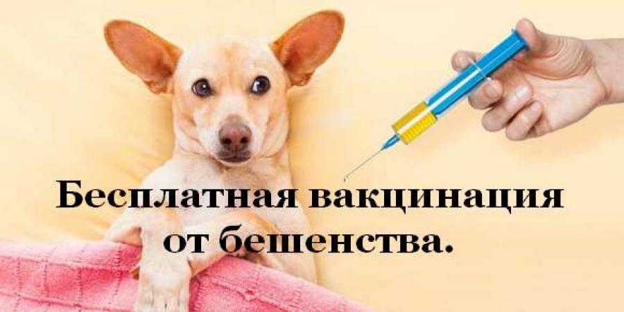 Вакцинация