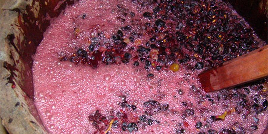 Брожение вина